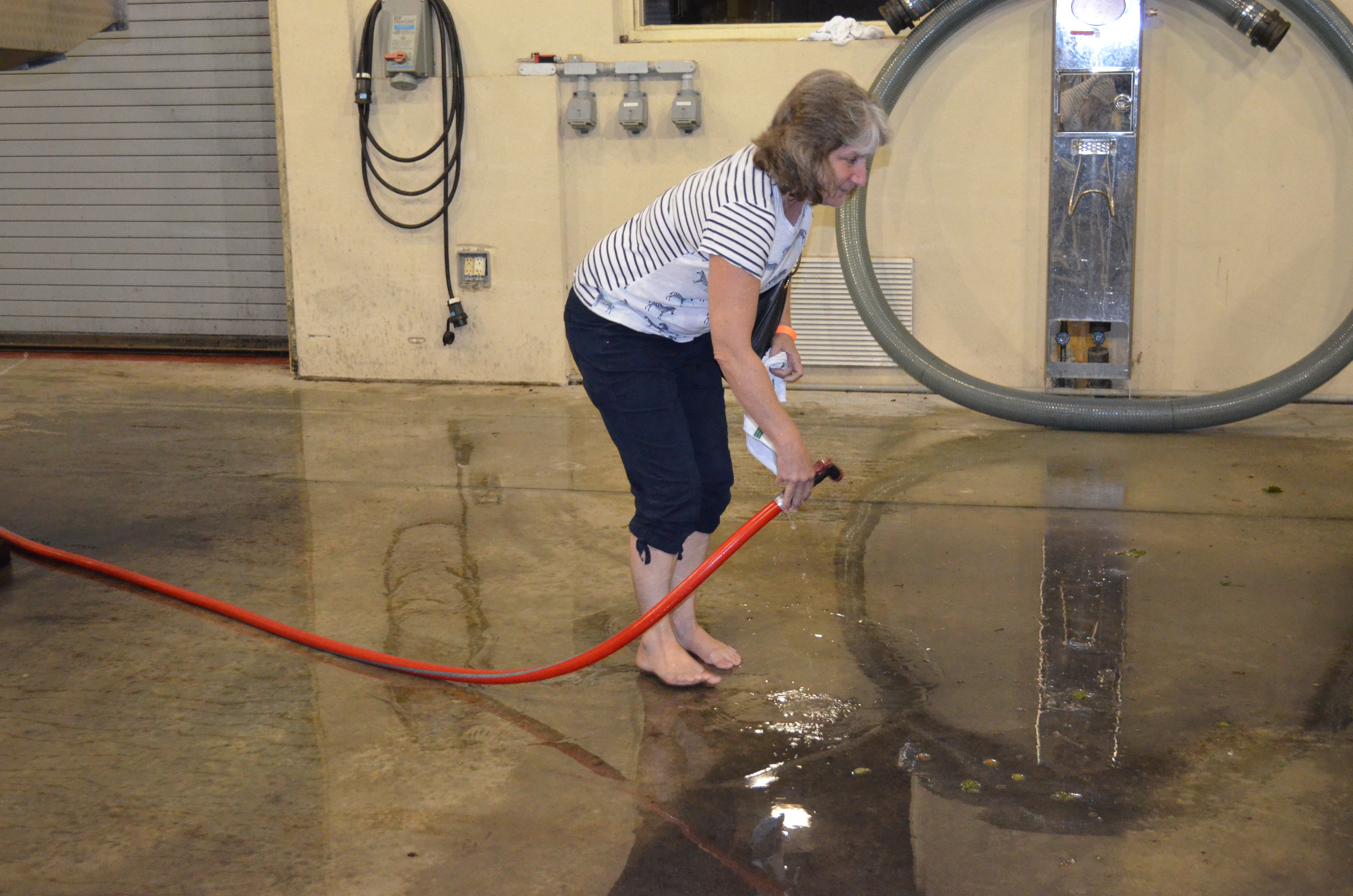 ./2015/23 - Grape Stomp/DSC_0651.JPG